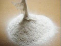 栄養価 食品類 玉ねぎ粉粉 白い粉末